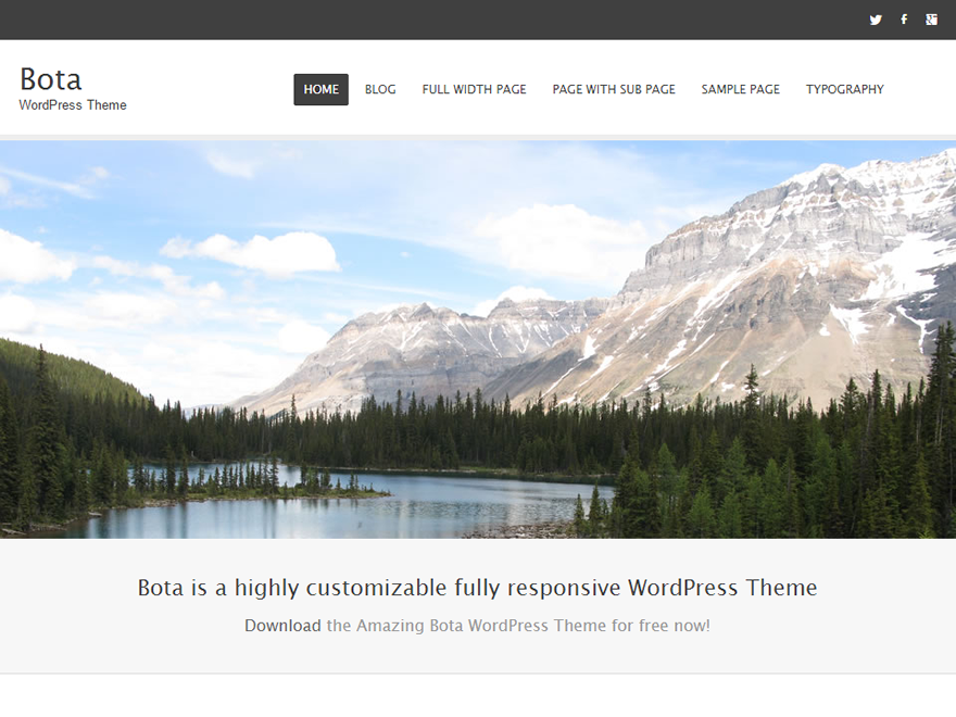 Bota Corporate WordPress Theme