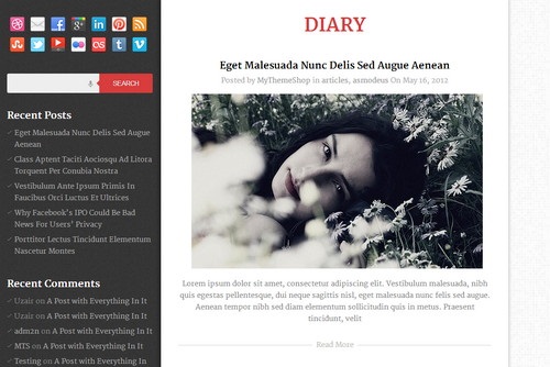 Diary Magazine WordPress Theme