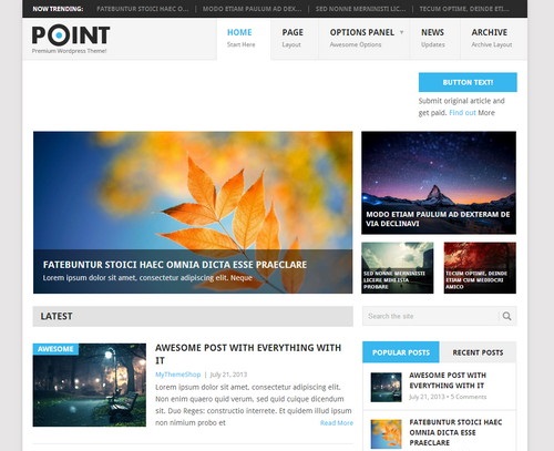 Point Magazine WordPress Theme