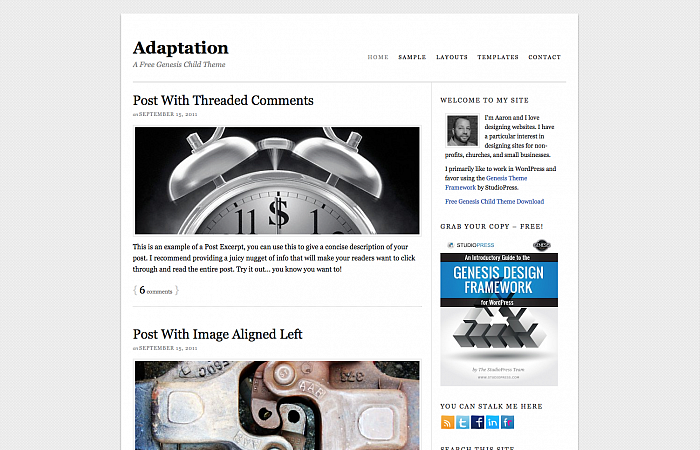 Adaptation Genesis WordPress Theme