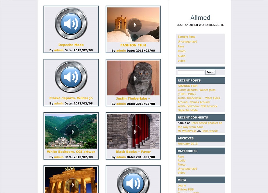 Allmed Video WordPress Theme