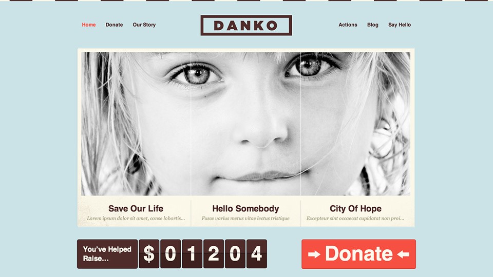 Danko Charity WordPress Theme