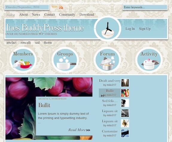 Ines BuddyPress WordPress Theme