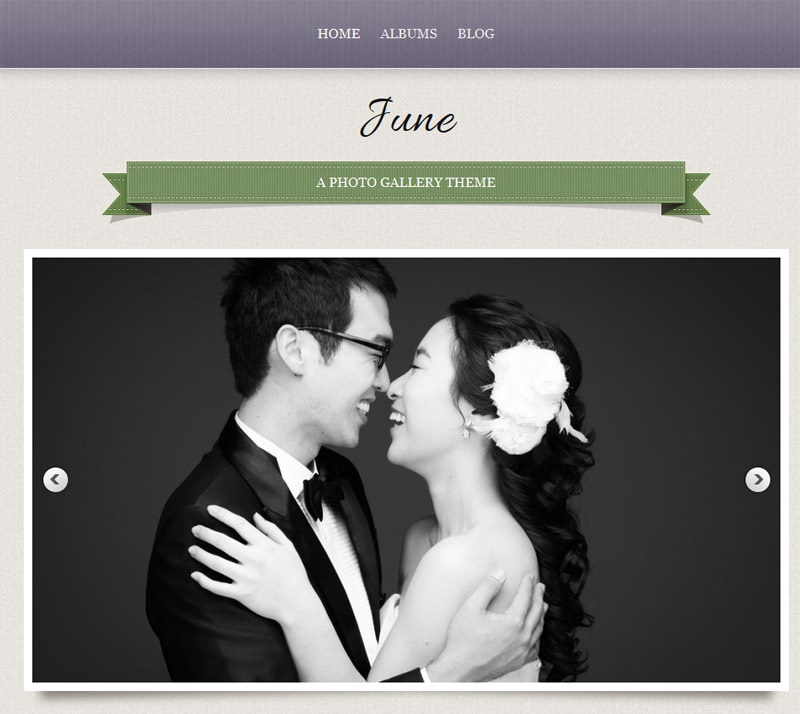 June Super Fast WordPress Theme