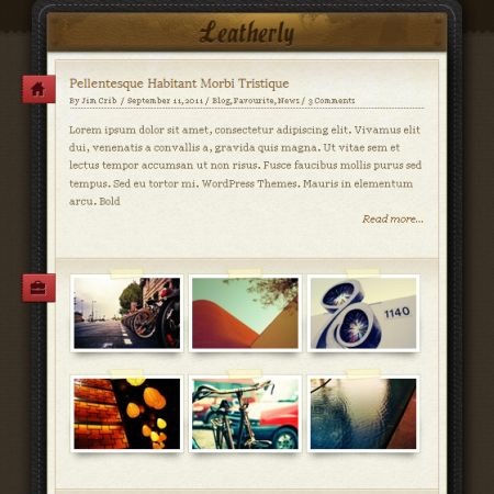 Leathery One Page WordPress Theme