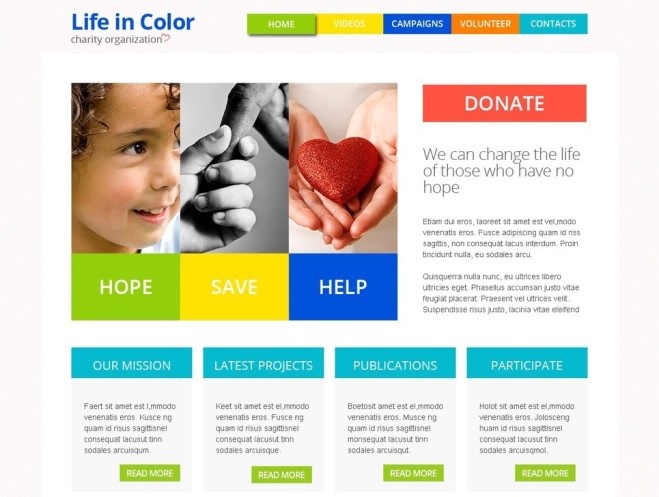 Life In Color Charity WordPress Theme