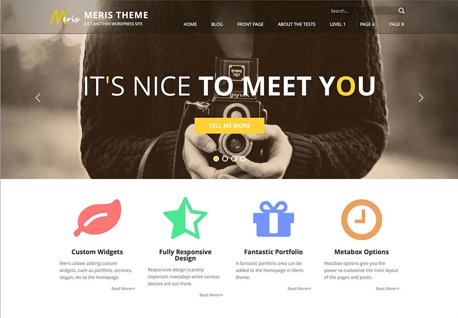 Meris Resume WordPress Theme
