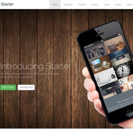 Starter One Page WordPress Theme