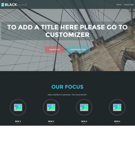 ZBlackbeard One Page WordPress Theme