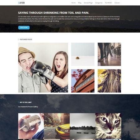 Zifer Child One Page WordPress Theme