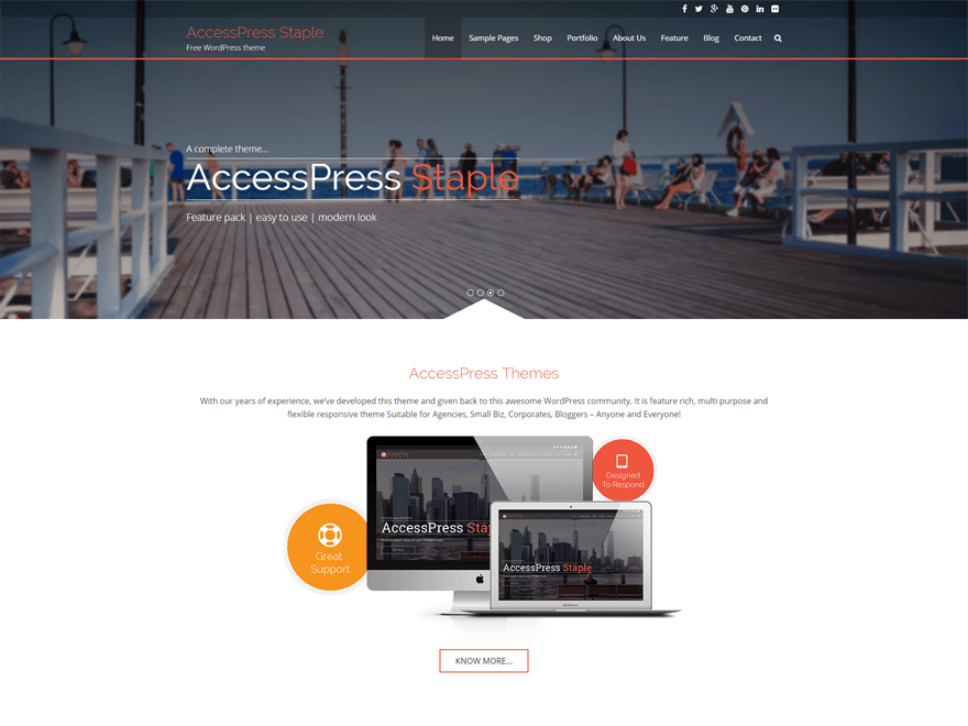 AccessPress Staple Forum WordPress Theme