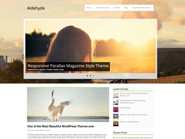 Aldehyde Parallax WordPress Theme