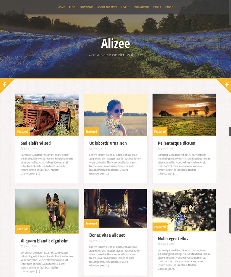 Alizee Travel WordPress Theme