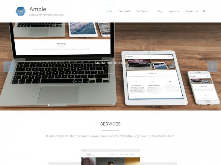 Ample Parallax WordPress Theme