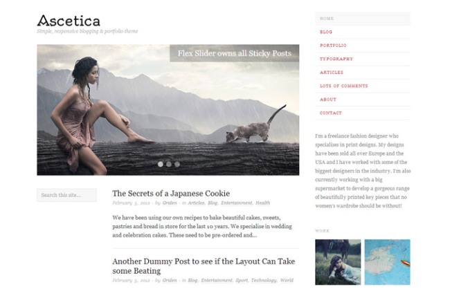 Ascetica Minimalist WordPress Theme