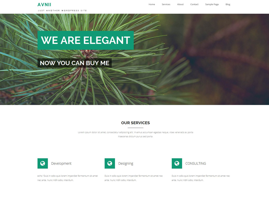 Avnii Fitness WordPress Theme