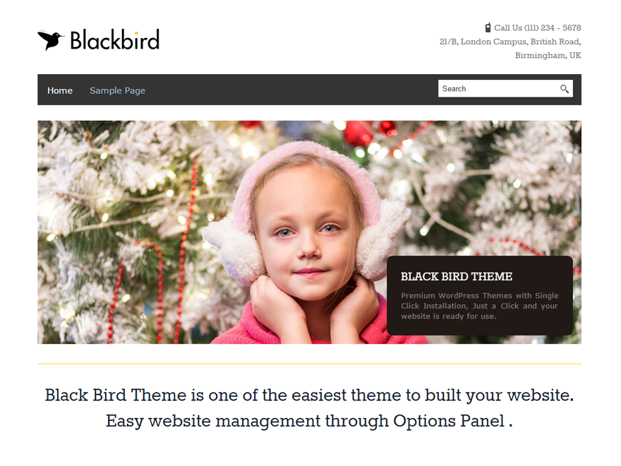 Blackbird Fashion WordPress Theme