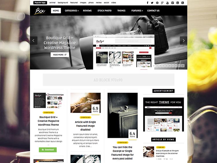 Bou Review WordPress Theme