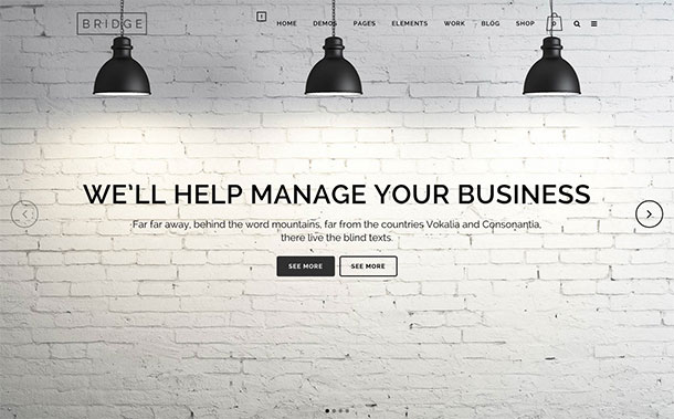 Bridge Premium Drag and Drop WordPress Theme