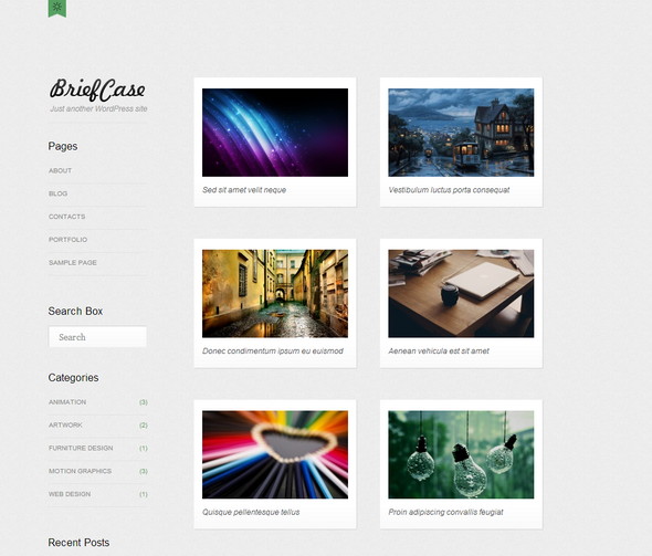 Briefcase Portfolio WordPress Theme