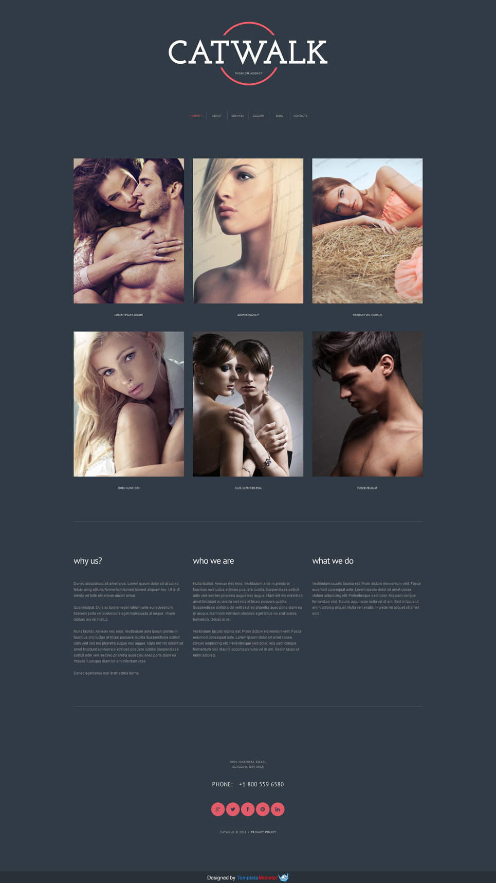 Catwalk Agency WordPress Theme