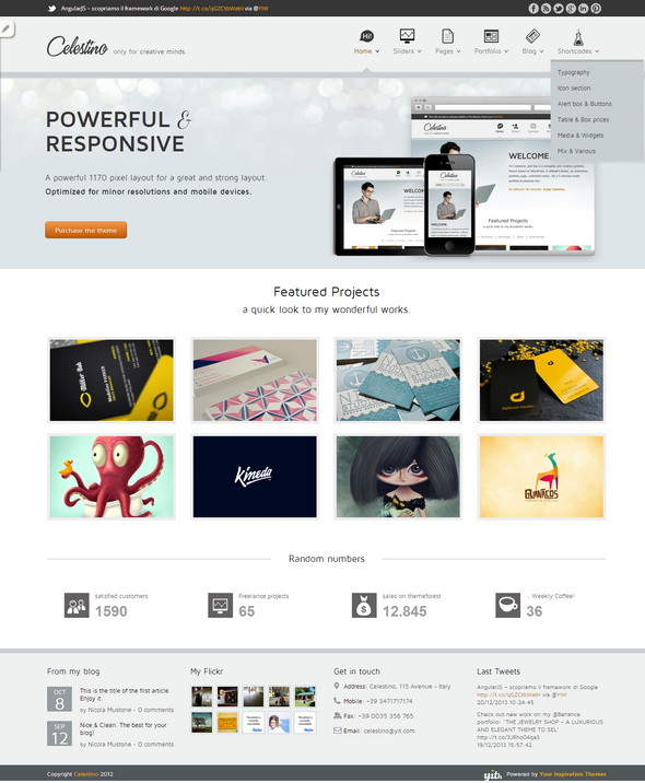 Celestino Portfolio WordPress Theme