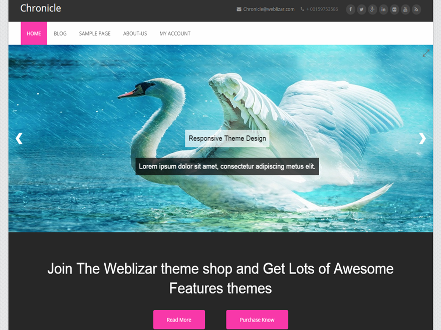 Chronicle Environment WordPress Theme