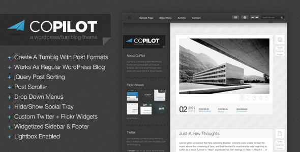CoPilot Tumblr WordPress Theme