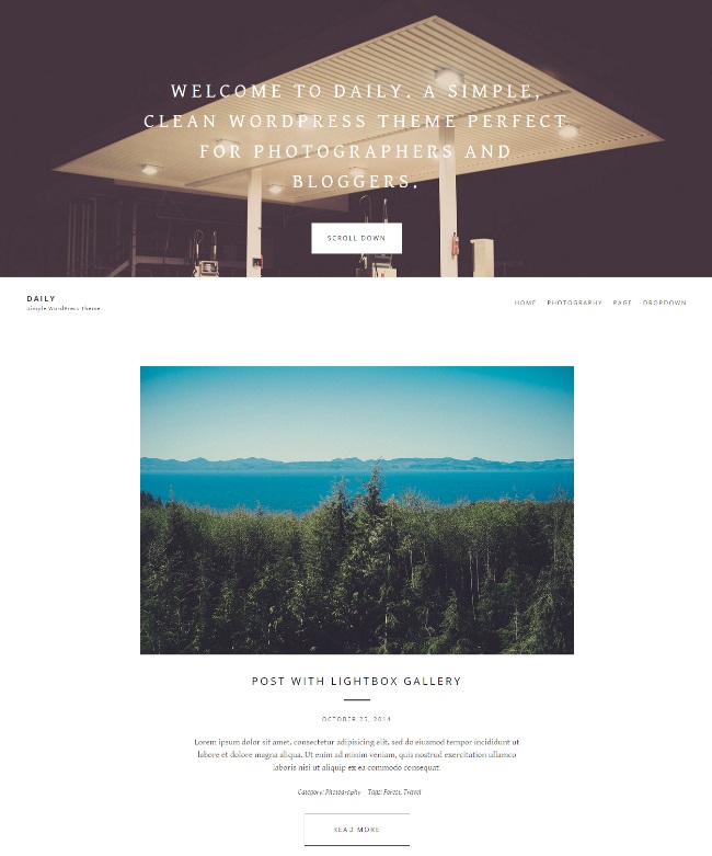 Daily Minimalist WordPress Theme