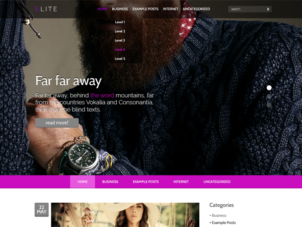 Elite Fashion WordPress Theme