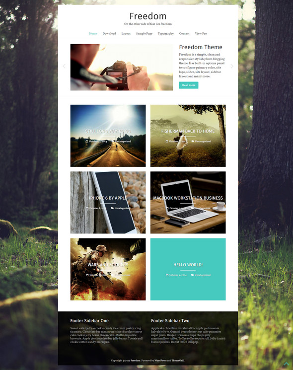 Freedom Minimalist WordPress Theme