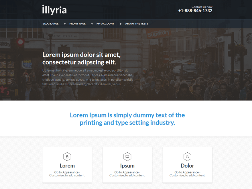 Illyria Lawyer WordPress Theme