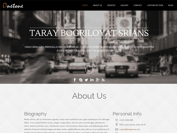 OneTone Resume WordPress Theme