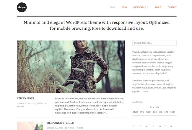 Origin Minimalist WordPress Theme