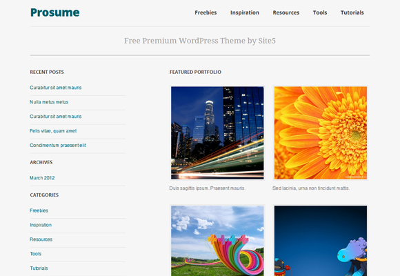 Prosume Resume WordPress Theme