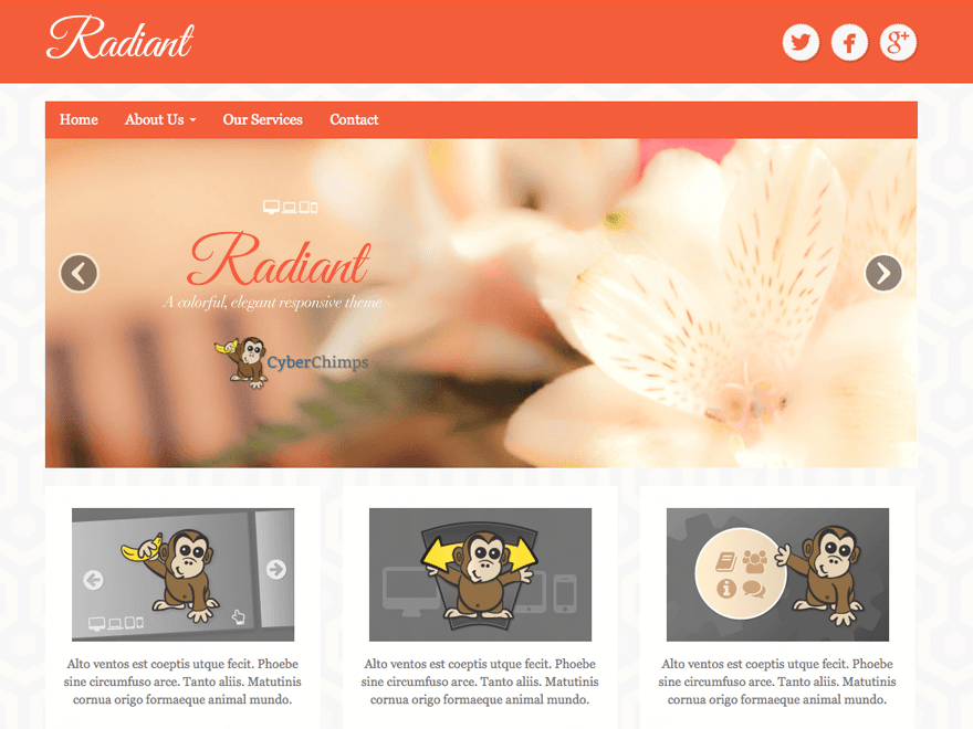 Radiant Premium Drag and Drop WordPress Theme