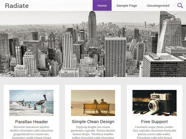 Radiate Parallax WordPress Theme