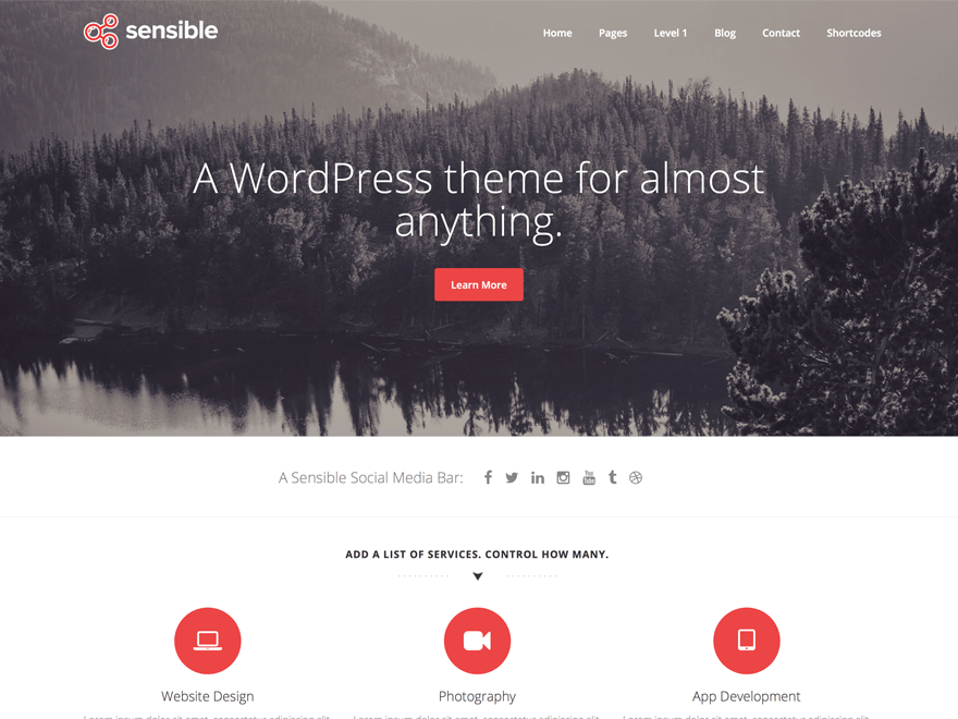 Sensible WP Agency WordPress Theme