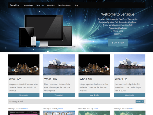 Sensitive Metro WordPress Theme