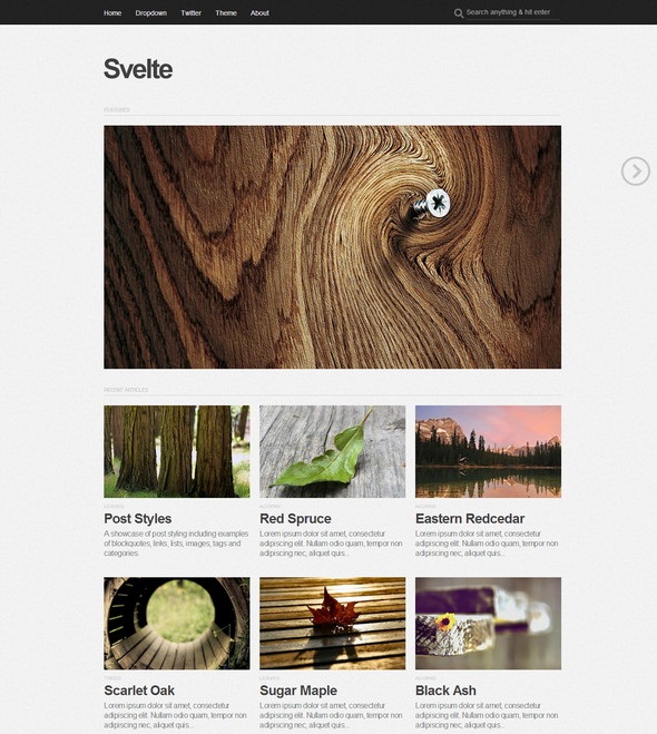 Svelte Portfolio WordPress Theme