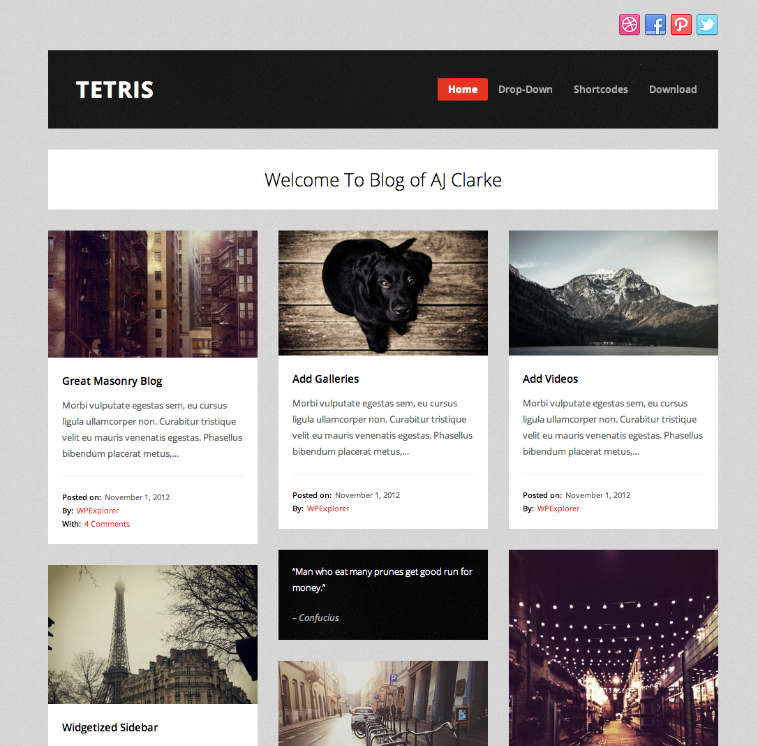 Tetris Tumblr WordPress Theme