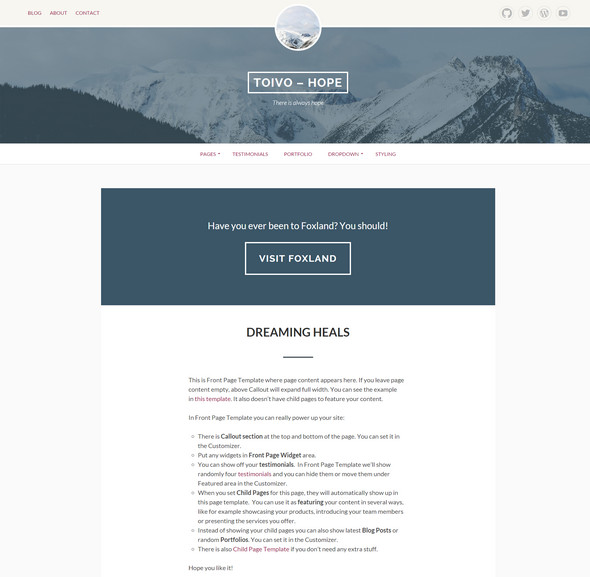 Toivo Premium WordPress Theme