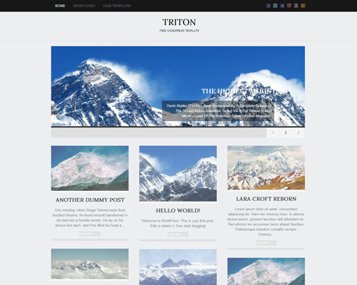 Triton Light Creative WordPress Theme