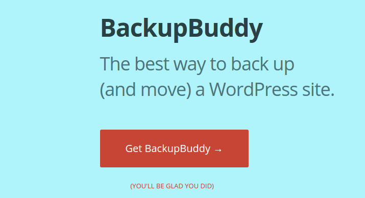 BackupBuddy WordPress Backup Plugins