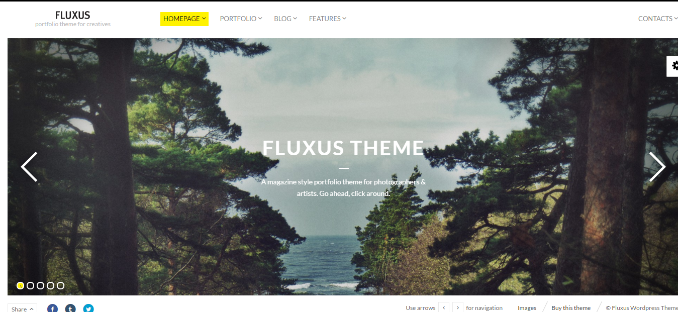 Fluxus Horizontal WordPress Theme
