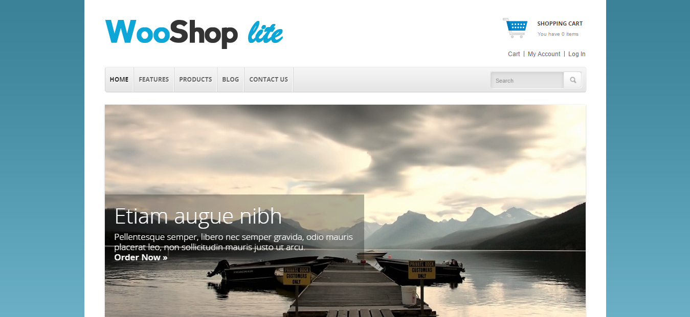 WooShop Lite Free And Premium WooCommerce Theme